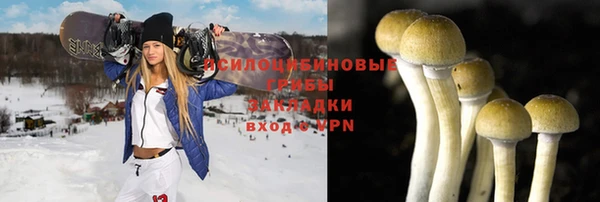 соль ск Алзамай