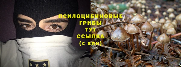 соль ск Алзамай
