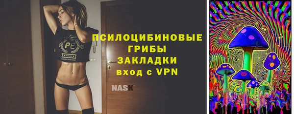 соль ск Алексеевка