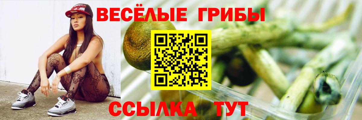 Псилоцибиновые грибы Cubensis  Вход с VPN  Галлюциногенные грибы MAGIC MUSHROOMS  Кореновск 